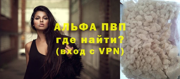 мдпв Бородино