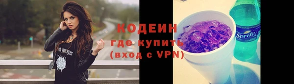 мдпв Бородино