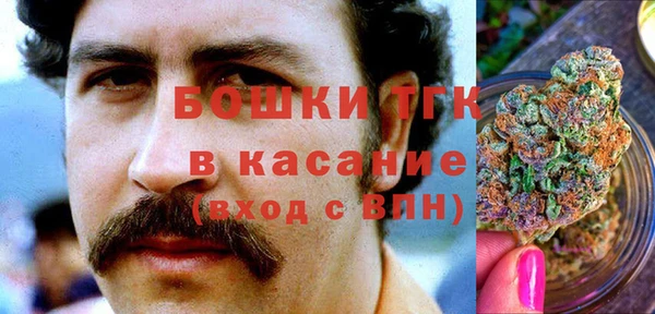 мдпв Бородино