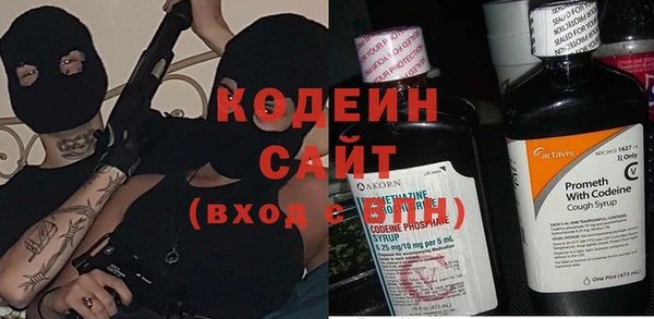 мдпв Бородино