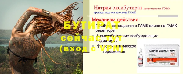 мдпв Бородино